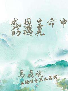 感恩生命中所有的遇见