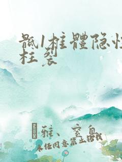 骶1椎体隐性脊柱裂