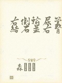 右侧输尿管下段结石并右肾积水