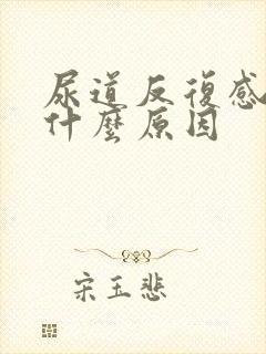 尿道反复感染是什么原因