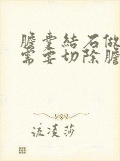 胆囊结石做手术需要切除胆囊吗