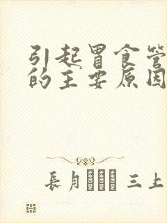 引起胃食管反流的主要原因