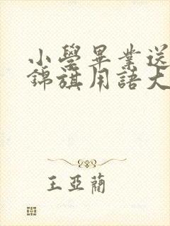 小学毕业送老师锦旗用语大全