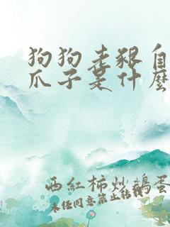 狗狗老啃自己的爪子是什么原因