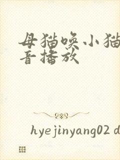 母猫唤小猫的声音播放