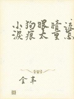 小狗眼睛流眼泪泪痕太重怎么办