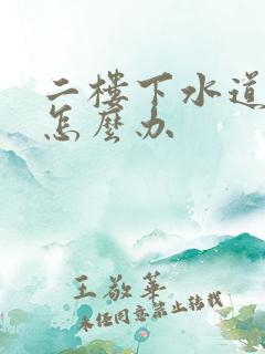 二楼下水道老堵怎么办