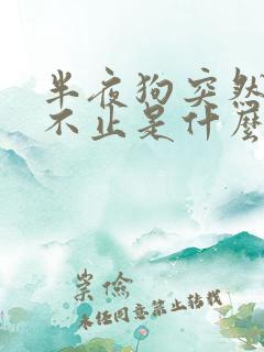 半夜狗突然狂吠不止是什么原因