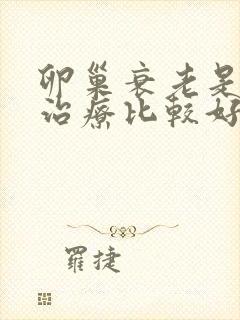 卵巢衰老是怎样治疗比较好