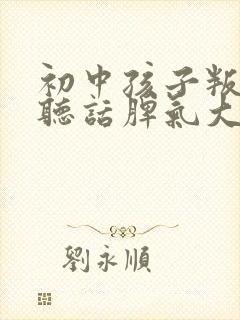 初中孩子叛逆不听话脾气大不学习