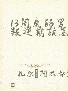 13周岁的男孩叛逆期该怎么办