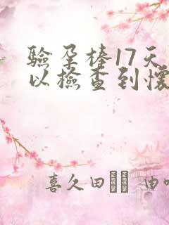 验孕棒17天可以检查到怀孕吗