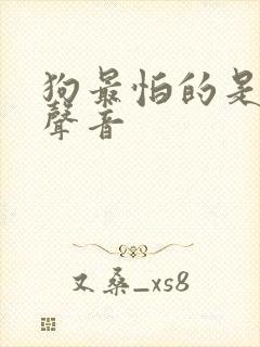 狗最怕的是什么声音