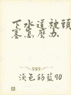 下水道被头发堵塞怎么办