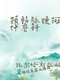 颈动脉硬斑块挂什么科