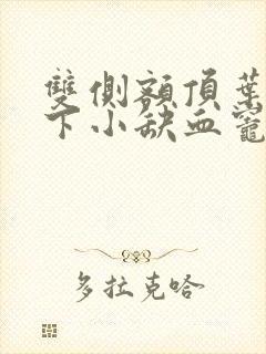 双侧额顶叶皮层下小缺血灶是什么意思