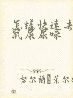 怎样快速去除老鼠屎尿味