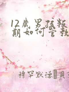 12岁男孩叛逆期如何管教