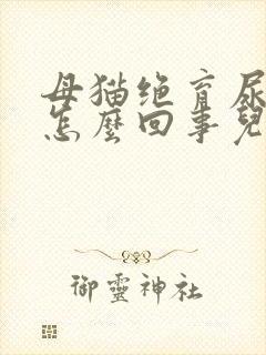 母猫绝育尿血是怎么回事儿