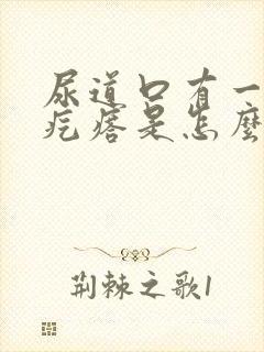 尿道口有一个小疙瘩是怎么回事