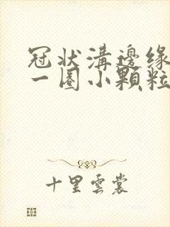 冠状沟边缘长了一圈小颗粒