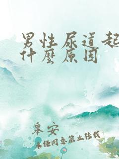 男性尿道起泡是什么原因