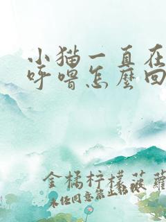 小猫一直在呼噜呼噜怎么回事