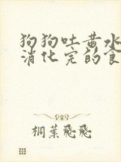 狗狗吐黄水带没消化完的食物