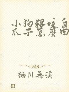 小狗啃咬自己的爪子怎么回事