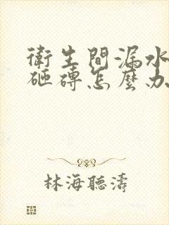 卫生间漏水不想砸砖怎么办