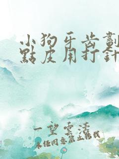 小狗牙齿划伤一点皮用打针吗