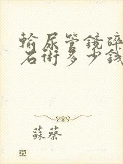 输尿管镜碎石取石术多少钱