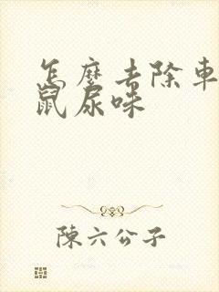 怎么去除车里老鼠尿味