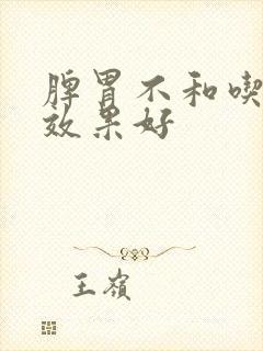 脾胃不和吃啥药效果好