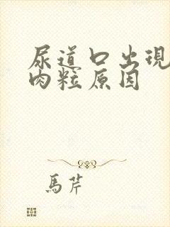 尿道口出现红色肉粒原因