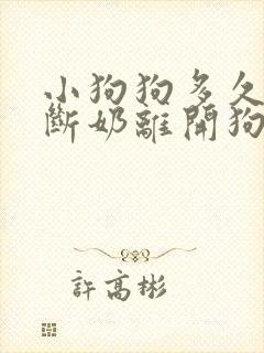 小狗狗多久可以断奶离开狗妈妈