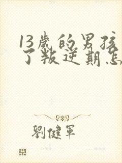 13岁的男孩到了叛逆期怎麽教