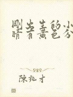 刚出生的小猫眼睛有黄色分泌物