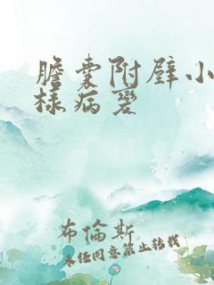 胆囊附壁小隆起样病变