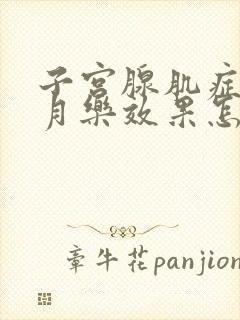 子宫腺肌症上曼月乐效果怎么样