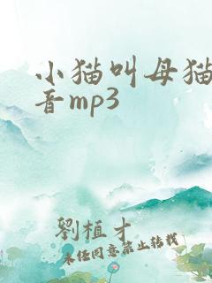 小猫叫母猫的声音mp3
