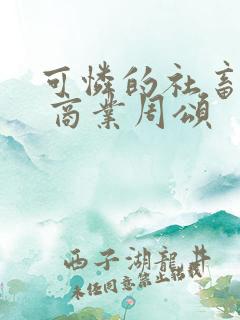 可怜的社畜小说 商业周颂