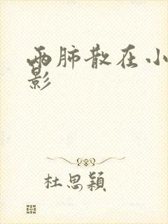 两肺散在小结节影