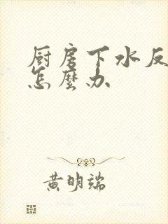 厨房下水反臭味怎么办