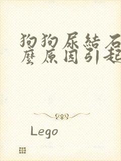 狗狗尿结石是什么原因引起的啊