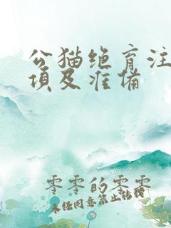 公猫绝育注意事项及准备