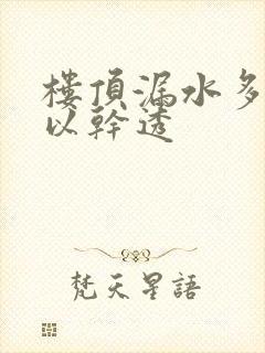 楼顶漏水多久可以干透