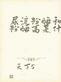 尿淀粉酶和血淀粉酶高是什么原因