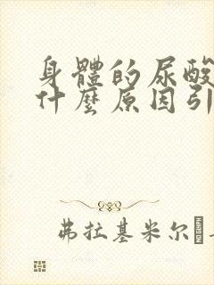 身体的尿酸高是什么原因引起的