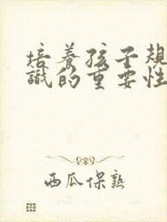 培养孩子规则意识的重要性